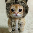 josietheangel avatar