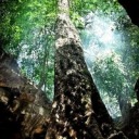 jouelacommelara avatar