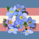 journalofsorts2 avatar