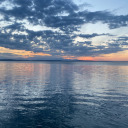 journeytometaonia avatar