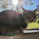 joyful-past-tense avatar