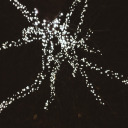 joyfuldelights avatar