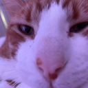 joyfulrayofsun avatar