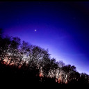 joylessnightsky avatar