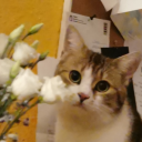 joysmindsstuff avatar