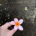 joyyannemarie avatar