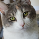 jpriest85-blog avatar