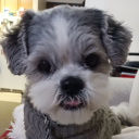 jrt-olives-mama avatar