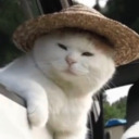 juggernautheart avatar