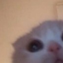 juiceboxagere avatar