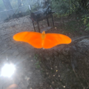 juicio2orale2 avatar