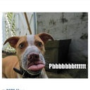 juicyjuice818 avatar