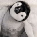 julialynnbellamy avatar