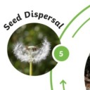 julianalfredpankratzsuggestion avatar