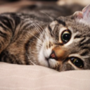 juliaunderwood-blog avatar