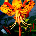 juliejotheotaku avatar