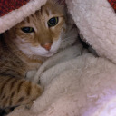 juliet-the-nerd-and-art avatar