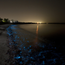 julietslove-blog avatar