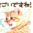 juliomathmeow avatar