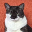 julius-seize-her avatar