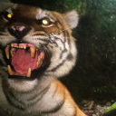 july-incident avatar