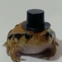 jumbo-jellyberry avatar