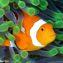 jumper123456789-blog avatar