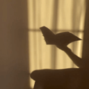 junealexandrite avatar