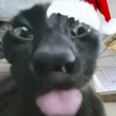 junebugscreates avatar