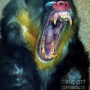 junebugzjuniperr avatar