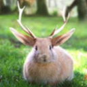 junejackalope-blog avatar