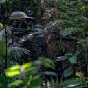 jungle-rum avatar