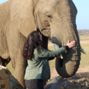 junglefriends avatar