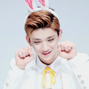 junhuienthusiastic avatar