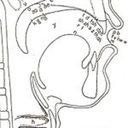 junioradelberg avatar