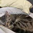 juniperjuno-231 avatar