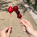 juniperscurse avatar