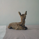 junipershrubb avatar