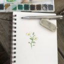 juniperusashei avatar