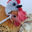 junkdrawergaloree avatar