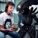 junkyard-jorts avatar