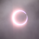 junkyardbambi avatar