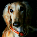 junothesaluki avatar