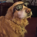 jupiter-ringz avatar