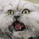 jupitercactus avatar