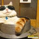 jupiterdenkacan avatar