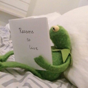 jupiterlikoala avatar