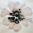 jupitermoooons avatar