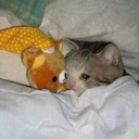 jupiters-space avatar