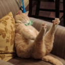 jupitersmoon4 avatar